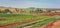Outdoor footage of a rural landscape. Farm in the sun with plantation of alpha, parsley, chives and basil