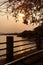 Outdoor garden footpath, tree and ocean at sunset