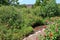 Outdoor gardens filled with Zinnias, Sunflowers, Plants and Trees