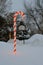Outdoor huge lit candy cane