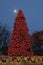 Outdoor illuminated Christmas tree in public area of town