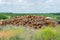 Outdoor industry storage of logs on the background of summer green field. Piles, stacks of wooden logs, trunks ready for