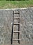 Outdoor ladder made of wood for climbing stone wall