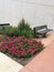 Outdoor landscapes design