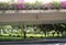 Outdoor landscapes design under viaduct view