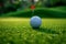 Outdoor leisure activity Close up shot of a golf ball on grass