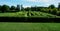 outdoor maze for kids. he planted hornbeams in a row in a hedge