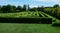 outdoor maze for kids. he planted hornbeams in a row in a hedge