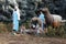 Outdoor Nativity scene