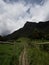 Outdoor nature landscape panorama of wooden fence hiking trail in Valle del Cocora Valley in Salento Quindio Colombia