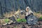 Outdoor northern warrior woman with braided hair and war makeup holding shield and ax with wolf next to her ready to attack -