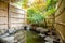 Outdoor onsen, japanese hot spring