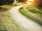 Outdoor park Green grass pathway with sunlight