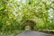 Outdoor Park over a Paved Path