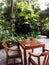 Outdoor patio dining area, tropical garden