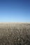 Outdoor photo of field that has been harvested with clear blue sky.