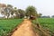 Outdoor picture of a fascinating, quiet, and beautiful village in West Bengal