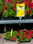 Outdoor plants and flowers on sale at a hardware store