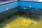 outdoor pool repair,dirty water,outdoor pool cleaning after winter