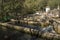 outdoor pools of fish farm in Cazorla. Spain. Trout farming