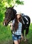 Outdoor portrait of beautiful cowgirl with horse in green