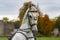 Outdoor portrait of a beautiful Lipizzaner stallion