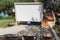 Outdoor projector screen homemade cinema seminar hotel with seats blank