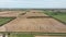 Outdoor Reared Free Range Pig Farm Aerial View