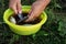 Outdoor recreation and fishing, hand cleaning of fresh small fish in a yellow bowl. Similar images.