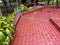 outdoor red bricks tiles with green sanchezia plants with scattered dried leaves