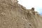 Outdoor sand cliff sphinx figure background