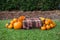 An outdoor set up of a crate with a fall autumn plaid brown blanket and lots of bright orange pumpkins and flowers for