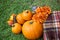 An outdoor set up of a crate with a fall autumn plaid brown blanket and lots of bright orange pumpkins and flowers for