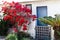Outdoor shot of a white building with plants, a fence, and a red bougainvillea bush