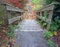 Outdoor Stairs in Autumn