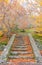 outdoor stairs in the forest during a fall day. The trees have a few yellow leaves at the branches but there are many brown and