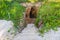 Outdoor stairs to natural cave in rocks. Stone descent to Indian Ocean in rocks and tropical plants. Entrance to the cave.