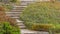 An outdoor stairway on a grassy slope