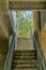 Outdoor stairway under a bridge or road with view of trees in San Antonio Texas