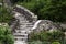 Outdoor Stone staircase among the trees