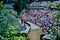 Outdoor Summer Concert at Echo Hollow Amphitheatre Silver Dollar City