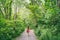 Outdoor summer walk in nature forest park girl enjoying outdoors freedom after self isolation quarantine from COVID-19