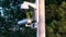 Outdoor surveillance cameras