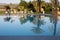 Outdoor Swimming Pool, Palm Trees and White Beach Loungers