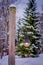 Outdoor view of light posts close to pine forest covered with snow in Norway