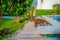 Outdoor view of small mammals walking around of a swimming pool located inside of a hotel in PLaya del Carmen at