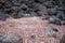 Outdoor view of volcanic rocks and gorgeous sand in the Galapagos islands, South America