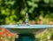 Outdoor water tap or foutain. Drinking water in the park on a background with blurred bokeh red flowers