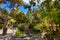 Outdoor wine press in Garden Tomb park considered as place of burial and resurrection of Jesus Christ in Jerusalem, Israel