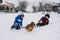 Outdoor winter activities for kids. Kids playing in the suburbs, winter backyard gathering. Boys, two brothers having